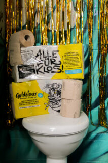 Goldeimer_recyelter Karton_Toilette